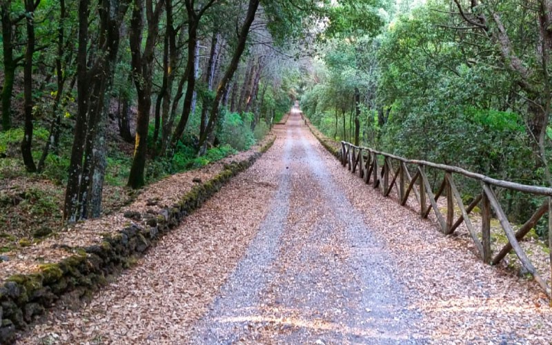 sentiero Tirone